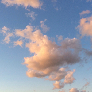 【FN】バラ色の雲